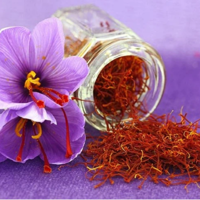 Sofran Bulbi de Aur Rosu - Crocus Sativus 10 Bucati