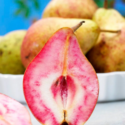 Par Busuioaca Pom Fructifer Anul 3 - Bulbshop