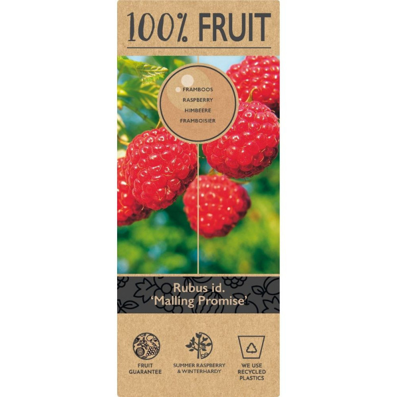 100% zmeur Natural marca bulbshop