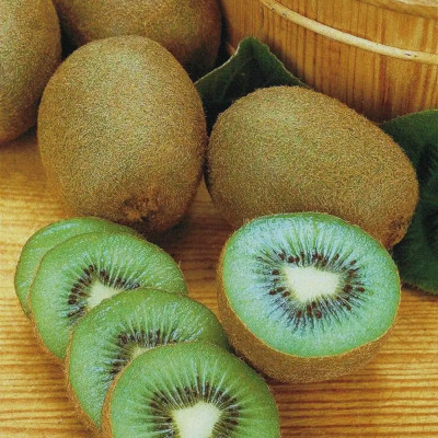 kiwi autofertil