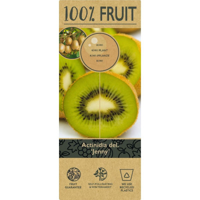 Kiwi 'Jenny' Autofertil (Ghiveci 2L) - Fructe Delicioase