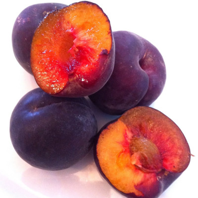 Cais Negru "Black Apricot" anul 3/4 - Pomi Fructiferi