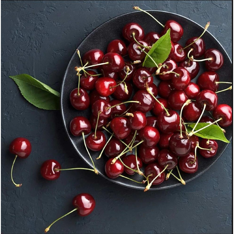 Pom Fructifer Cires Bing Anul 3 | BulbShop.ro