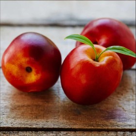 Pom Fructifer Nectarin Flavotrop Anul 3 | BulbShop.ro