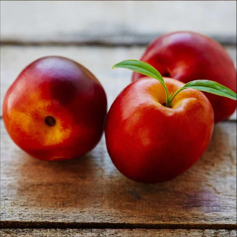 Nectarin "Flavotrop" - Pom Fructifer Premium - Anul 3